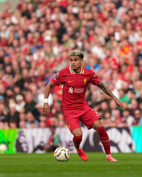 仅夺得了奖 仅夺得了奖